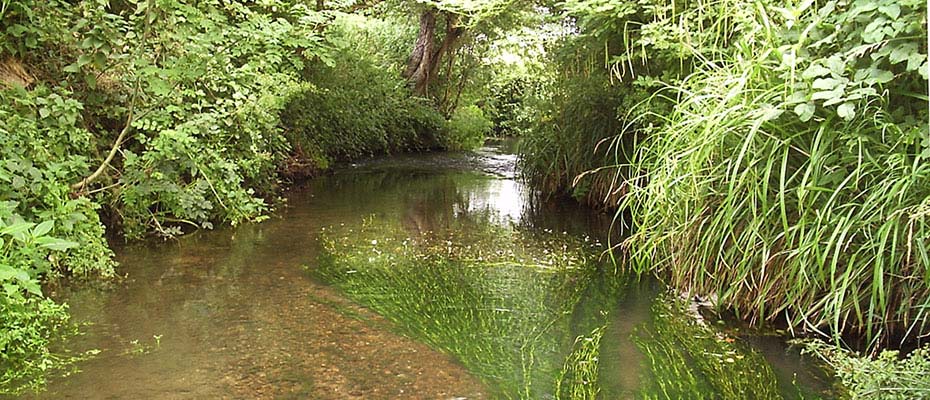 Crystal clear waters of the Little River Avon