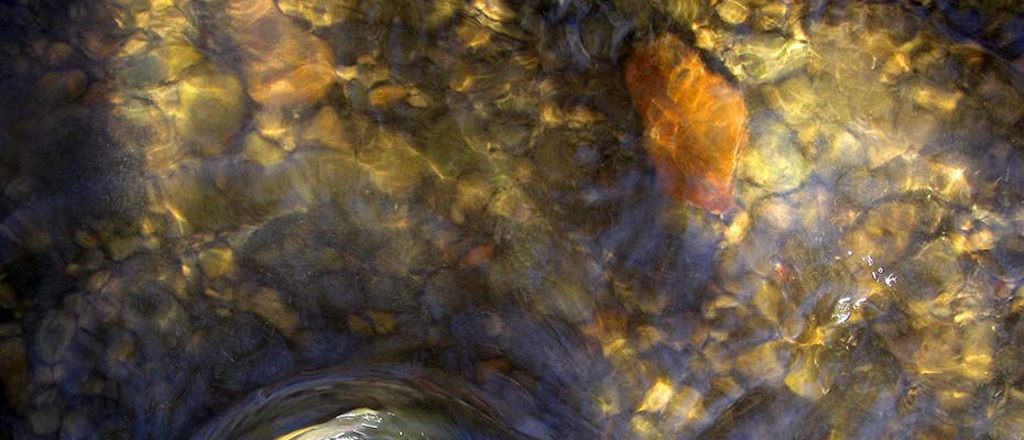 Clear water on the Little River Avon